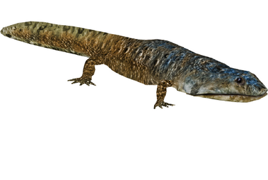 Toxodon platensis, ZT2 Download Library Wiki