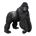 Mountain Gorilla (Aurora Designs) (169 KB) Mountain Gorilla (Aurora Designs)