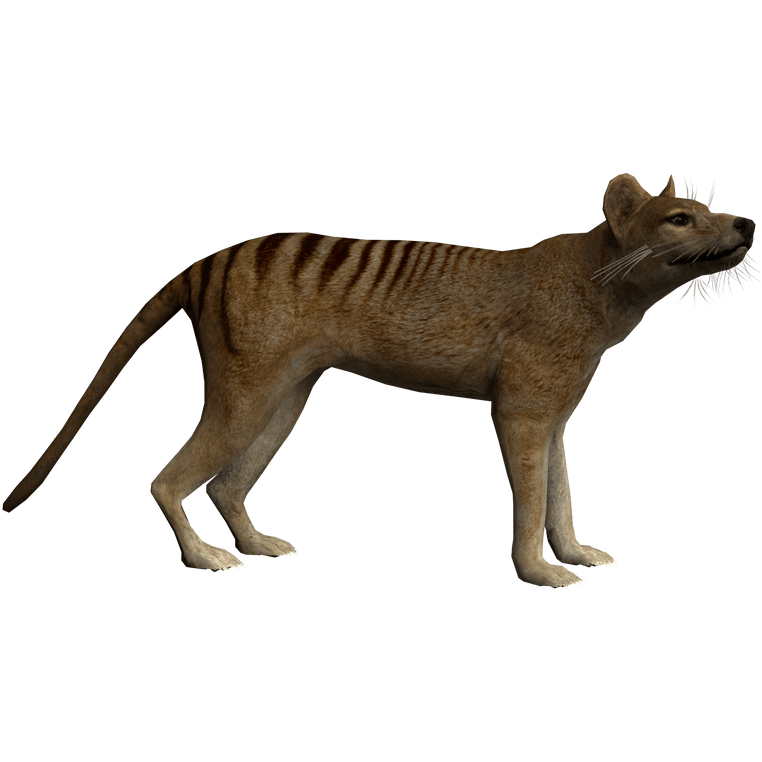 ZT2 Downloads: Animals (links in description) 