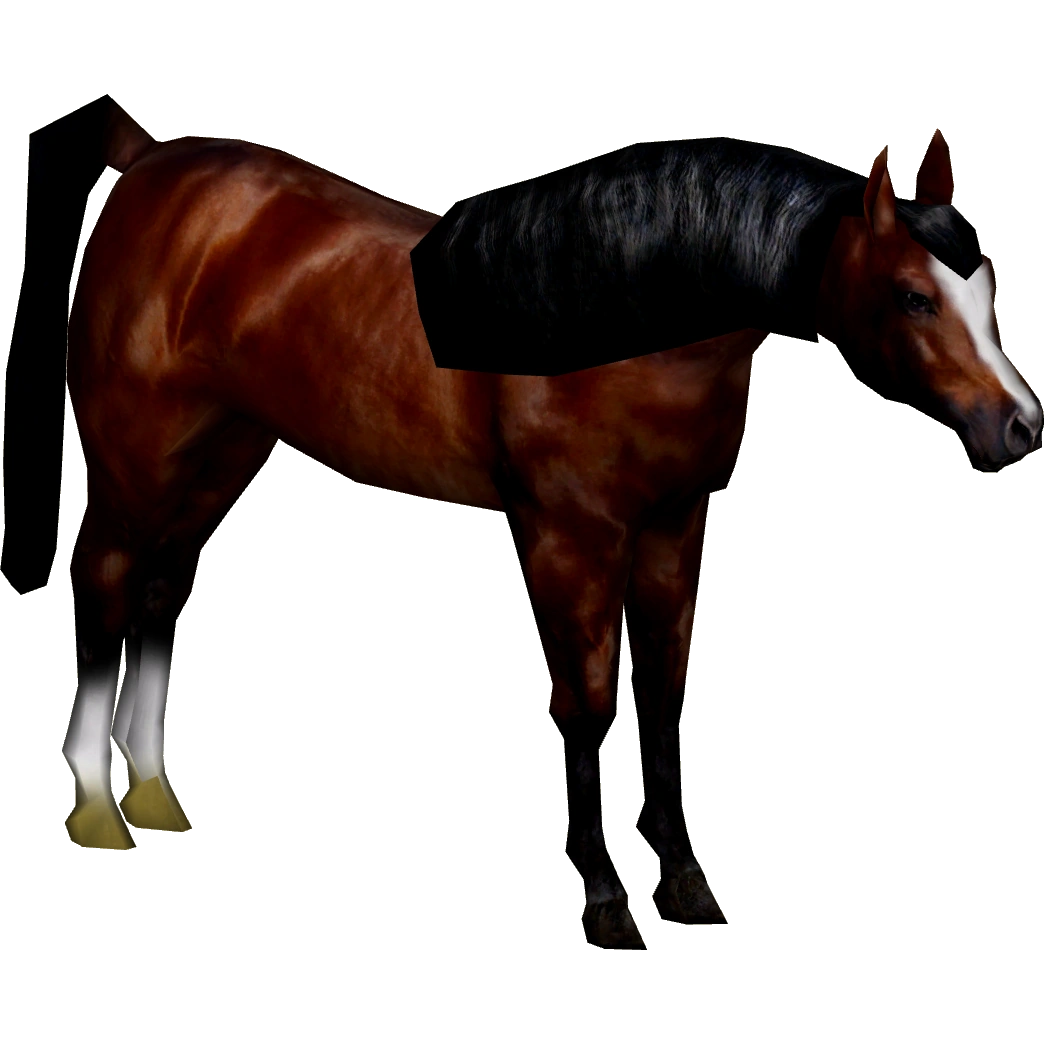 HORSE.Ⅱ2さま 32971c.jpg?v=1