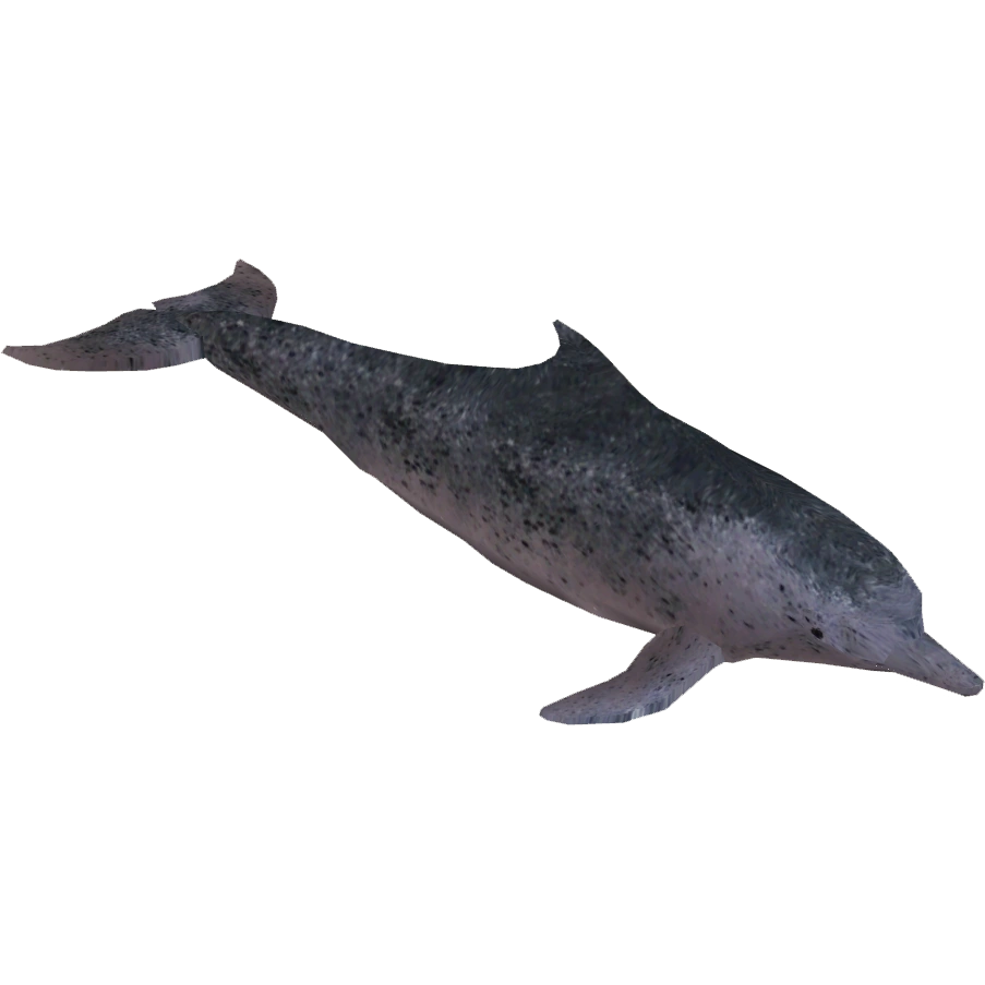 洋楽 lena d'agua / jardim zoologico / tao hqdefault.jpg