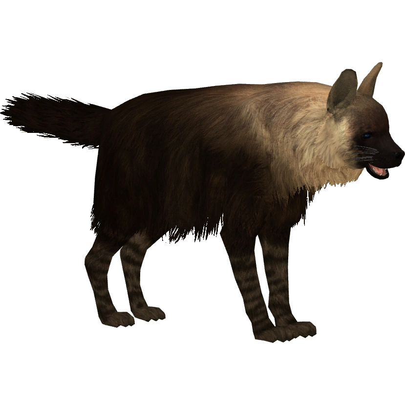 HYENA STATION  Brown Hyena (Lgcfm) | ZT2 Download Library Wiki | Fandom