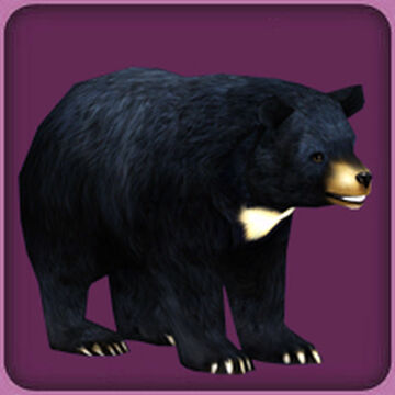 Asiatic Black Bear (Blue Fang) | ZT2 Download Library Wiki
