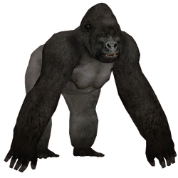 Category:Apes | ZT2 Download Library Wiki | Fandom