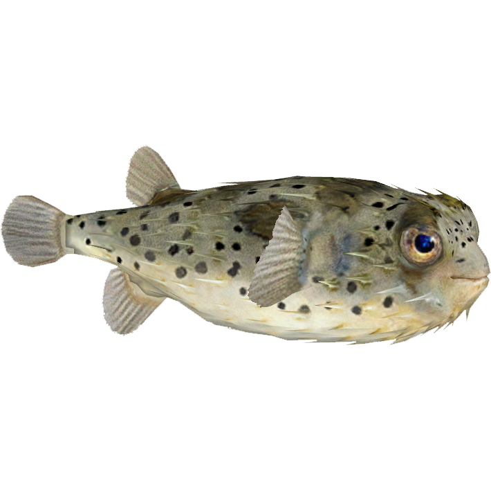 CAT FISH ソフビ BEN THE SPOOKY CAT ソフビ STUDIO SO-TA 新品 - メルカリ