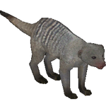 Banded Mongoose (VGnome)
