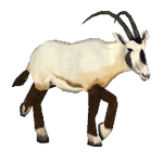 Arabian Oryx (SpinoSquad)