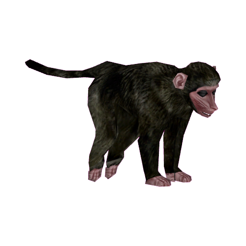 Chacma Baboon (Tamara Henson) | ZT2 Download Library Wiki | Fandom