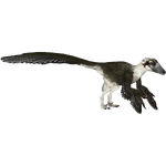 Dakotaraptor (Zoo Tycoon 2 Thailand)