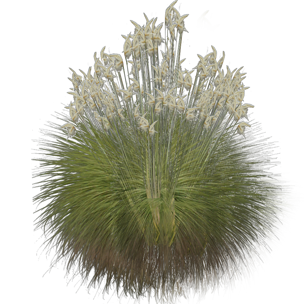 Esparto Grass (Demon Hunter) | ZT2 Download Library Wiki