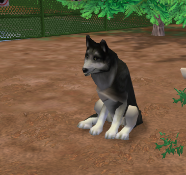 werewolf irl on X: i just found out there's gonna be a zoo tycoon 2 mod  that updates the animals but keeps the original game's art style  YAYYY!!!!!! Look at the velociraptors