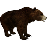 Cave Bear (Bunyupy & Maximilian)