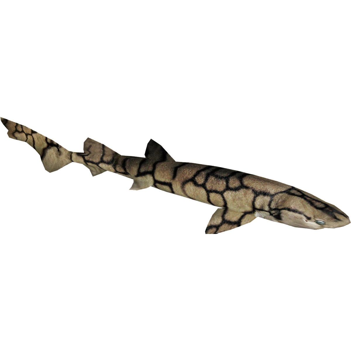Chain Catshark (Zerosvalmont) ZT2 Download Library Wiki Fandom