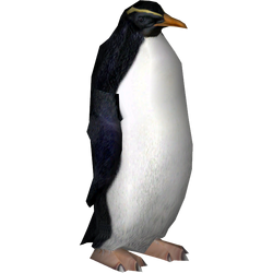 Category:Penguins | ZT2 Download Library Wiki | Fandom