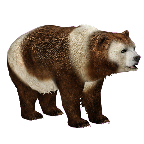 Spanish Giant Panda (Tamara Henson) | ZT2 Download Library