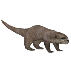 Category:Otters | ZT2 Download Library Wiki | Fandom