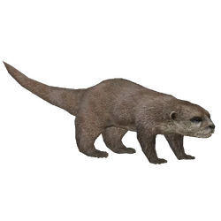 Category:Otters | ZT2 Download Library Wiki | Fandom