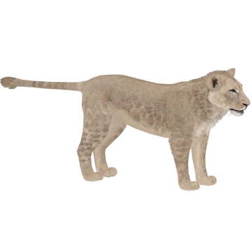 lion ページ 1200?cb=20181014043421