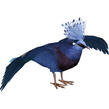 Victoria Crowned Pigeon (Hispanium) | ZT2 Download Library