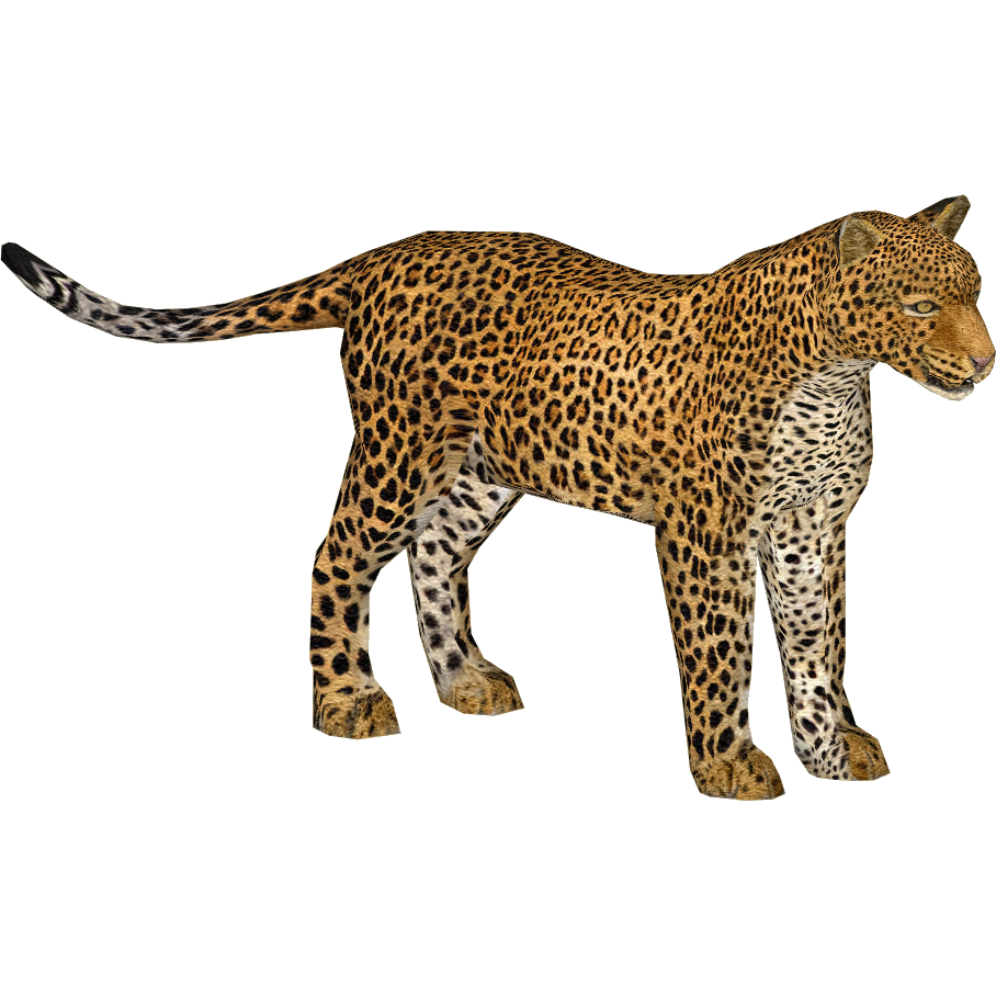 African Leopard (Mayer) | ZT2 Download Library Wiki | Fandom