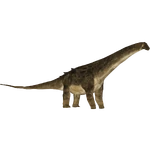 Alamosaurus (Zoo Tycoon 2 Thailand)