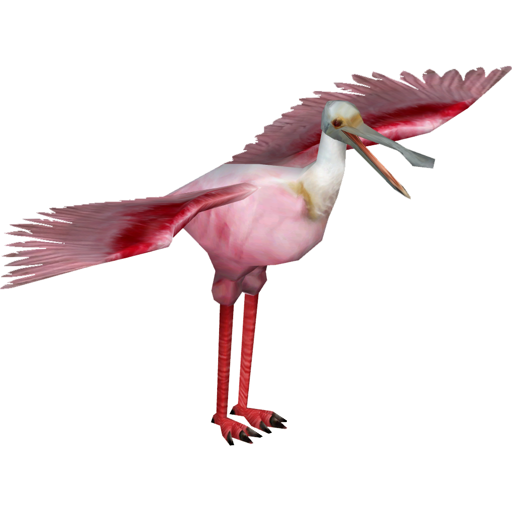 Roseate Spoonbill (Worldwide Designers United) | ZT2
