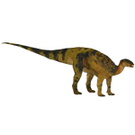 Tenontosaurus (Beni, Bunyupy, Dragranzer & oO-VND-Oo)