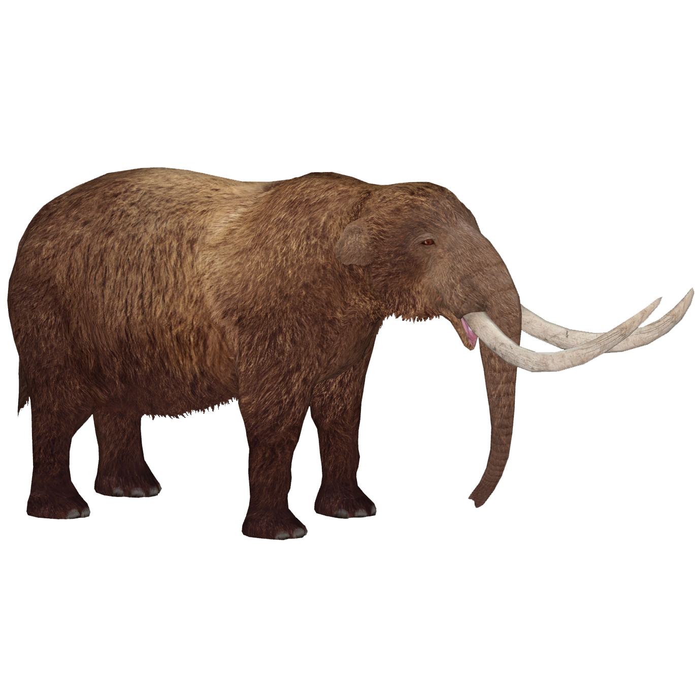american mastodon