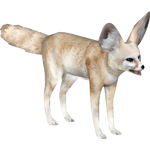 Fennec Fox (ZTSF Designs)