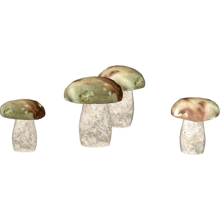 Summer Bolete (ZetaDesigns) ZT2 Download Library Wiki Fandom