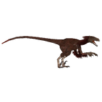 Pyroraptor (Austroraptor & Black Lemur)