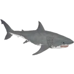 White Shark (Buffzoo) (203 KB) White Shark (Buffzoo)