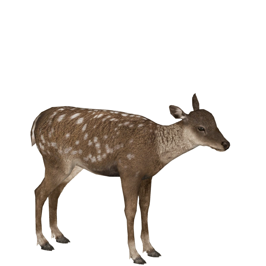 latest?cb=20201011161453