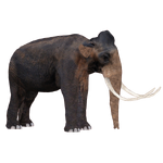 Columbian Mammoth (Royboy407)