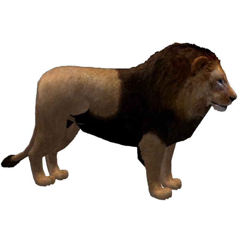 Barbary Lion (Havok1199) | ZT2 Download Library Wiki | Fandom