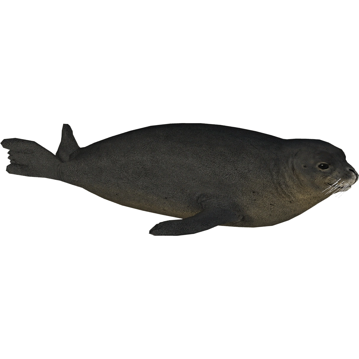 latest?cb=20201205201043