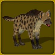 Spotted Hyena