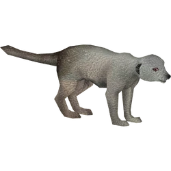 Category:Mongooses | ZT2 Download Library Wiki | Fandom