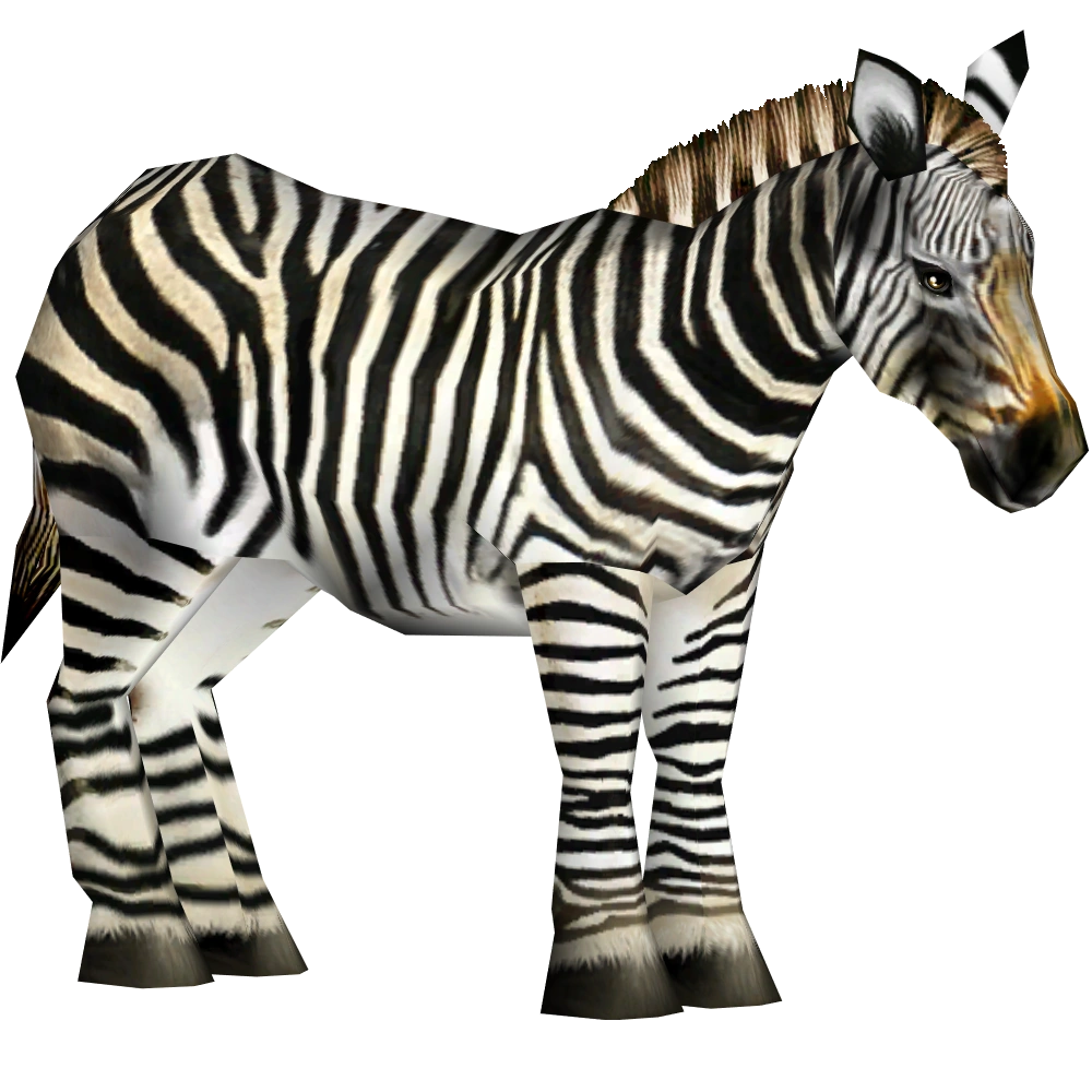 Zebrahartmanns_(Tamara_Henson).png
