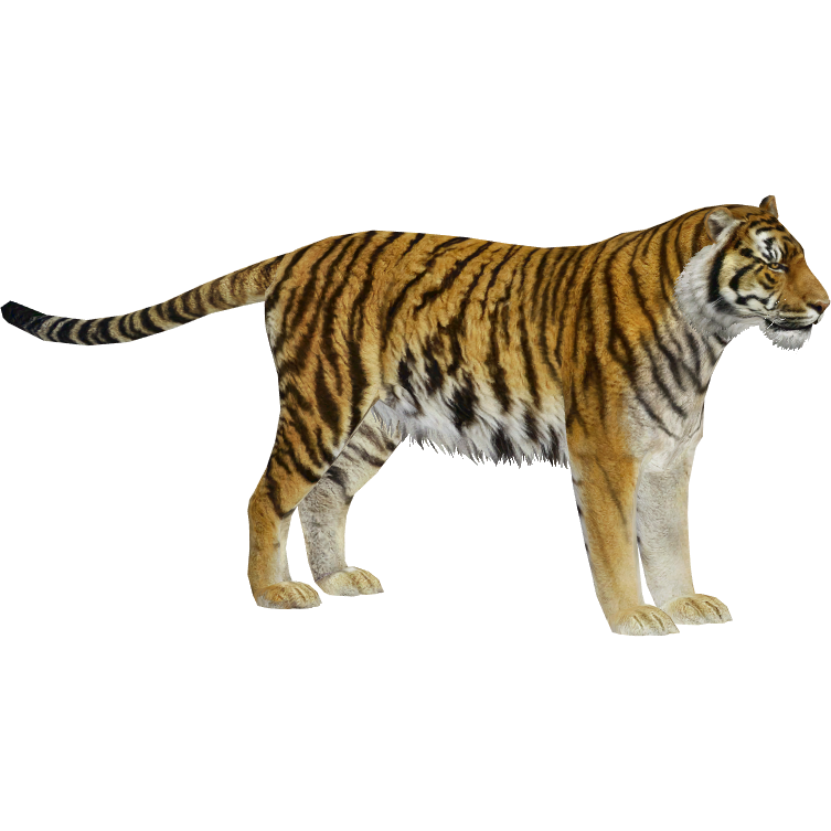 Zoo Tycoon 3: Siberian Tiger 