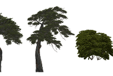 Imported Foliage (Nessich) | ZT2 Download Library Wiki | Fandom Imported Foliage (Nessich) | ZT2 Download Library Wiki | Fandom