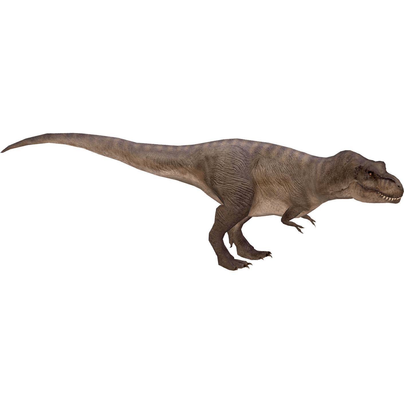 Tyrannosaurus rex, Zoo Tycoon Wiki