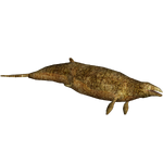 Dorudon (Iguanoraptor123)