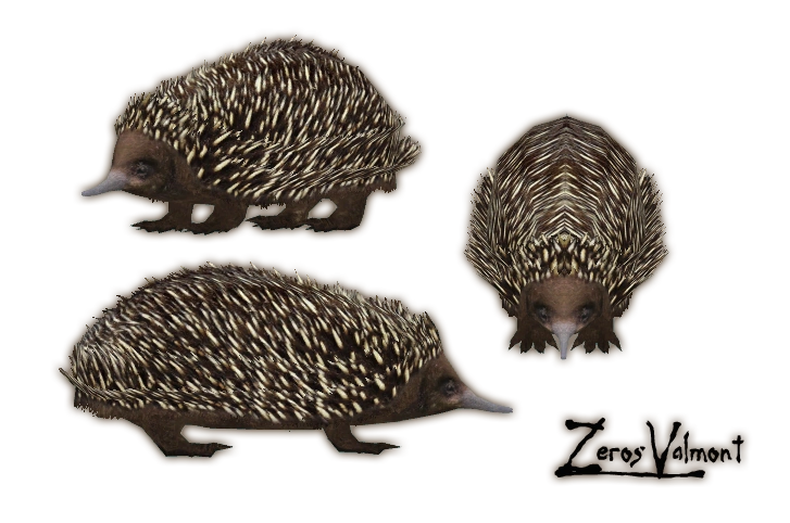 Short-beaked Echidna (Zerosvalmont) | ZT2 Download Library Wiki