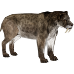 Smilodon (Ultamateterex2)