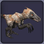 Velociraptor (Blue Fang)