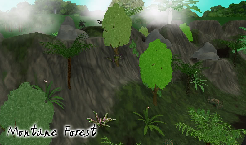 Montane Forest (Penguinman & ShenTirag) | ZT2 Download