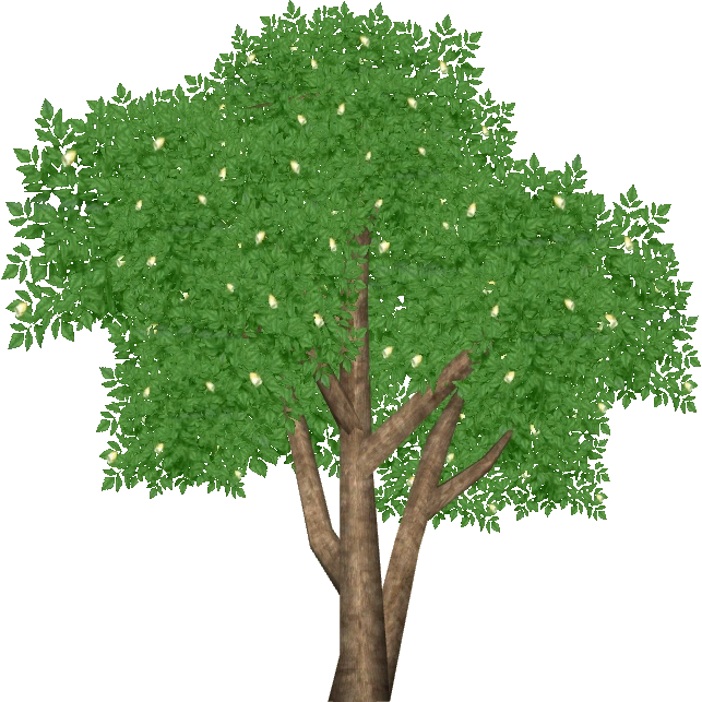 Portia Tree (ZetaDesigns) ZT2 Download Library Wiki Fandom