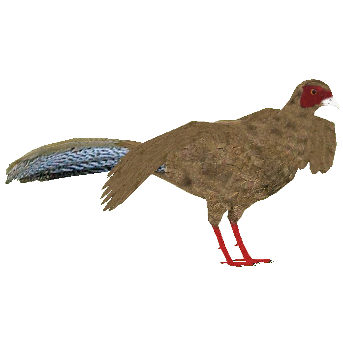 ハルピー　ダンバリーミントThe Pheasant Hunters ハルピー ダンバリーミントThe Pheasant Hunters ハルピー ダン