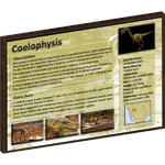 Coelophysis Info Panel (Zhadow)